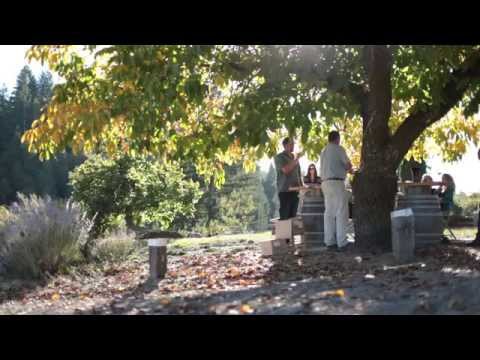 The Weekend: in 45 seconds (Copy)