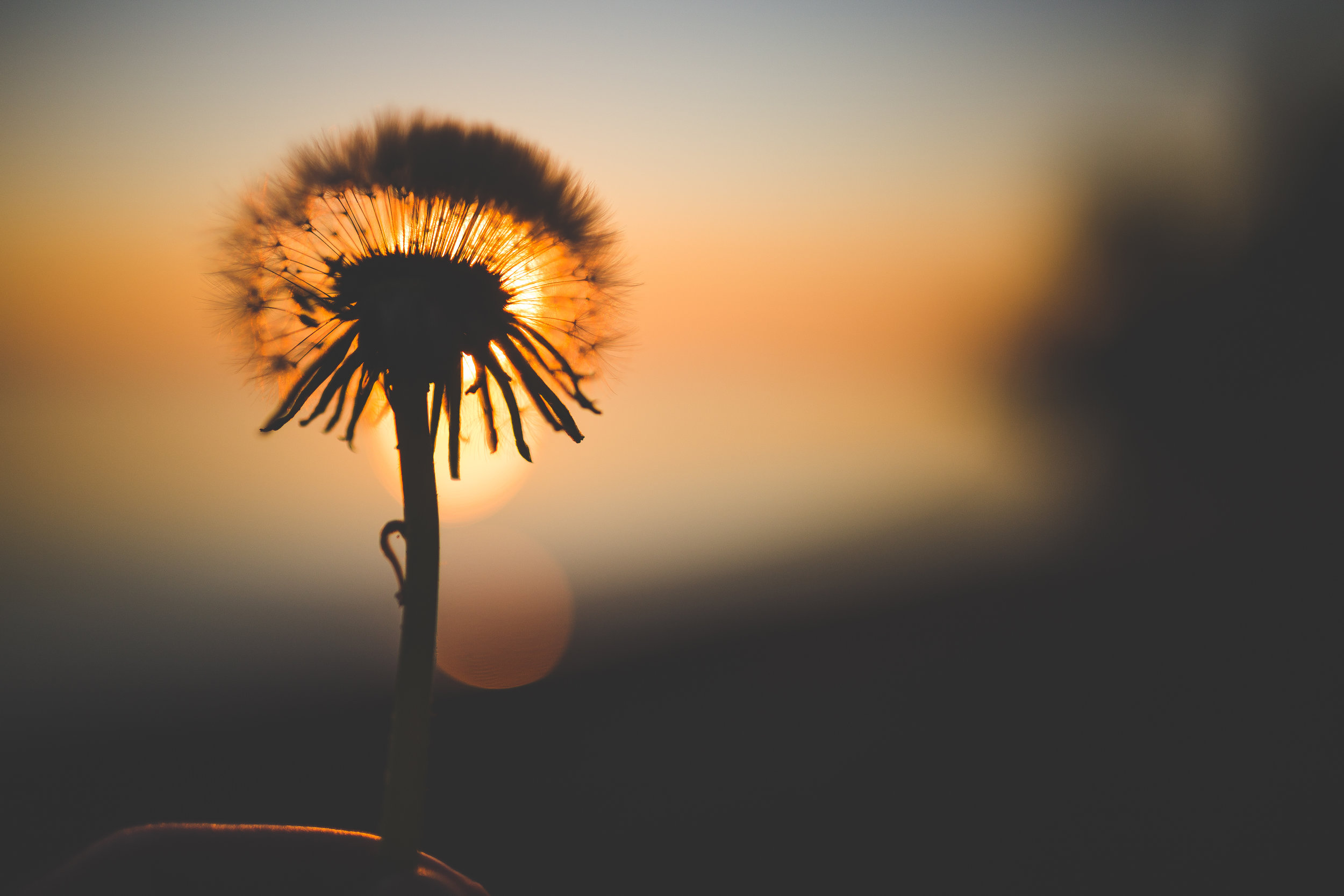 ON CAREERS || Lead With Passion, Money Will Follow