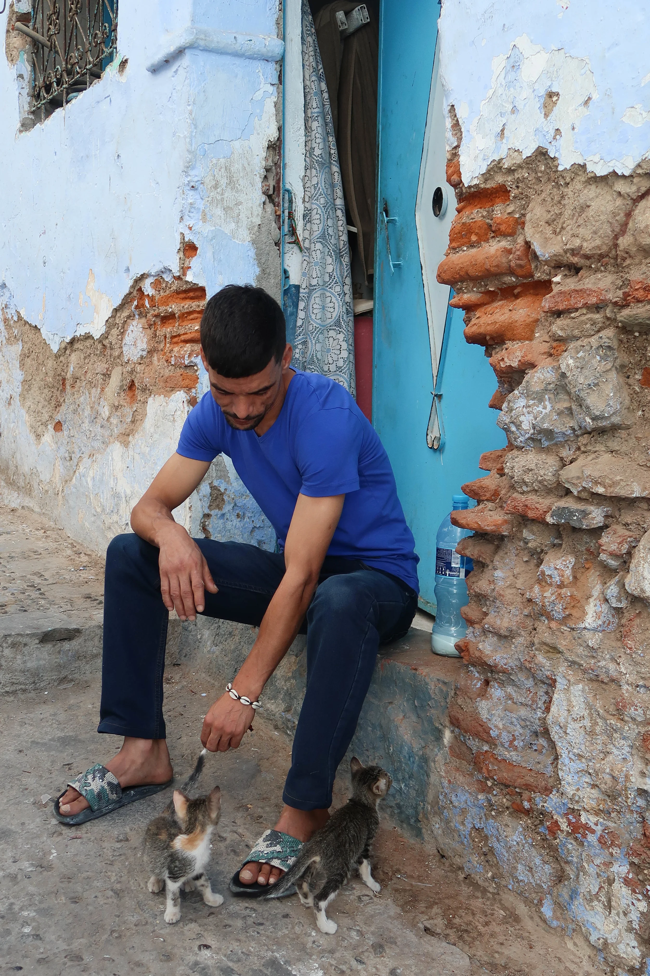 Locals feeding kittens milk in Chefchaouen