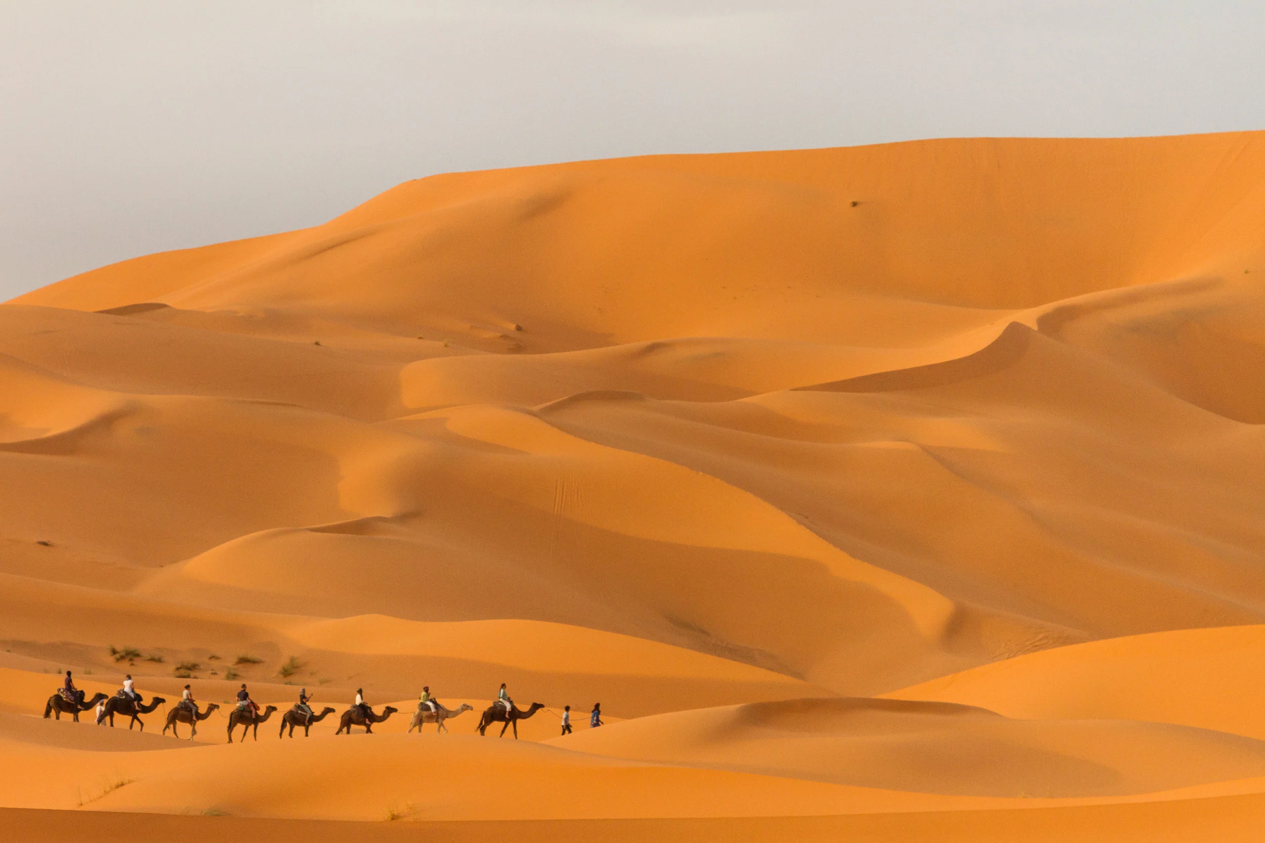 Camel riders trekking through the Cherg Ebbi Desert