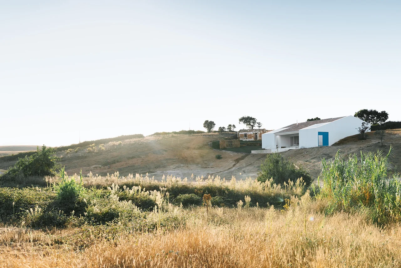 AD_07_Richard-John-Seymour_Cercal-House-by-Atelier-Data-043.jpg