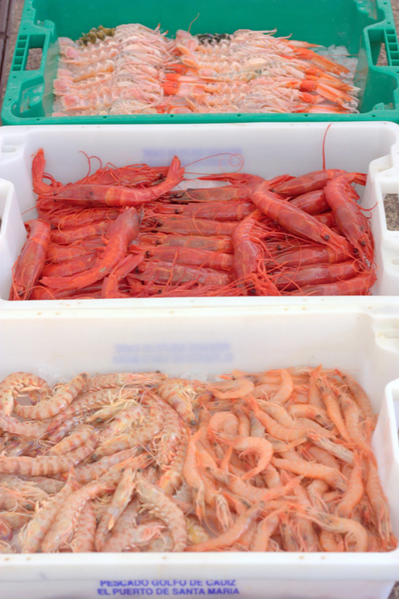 Pendulum Magazine Cadiz Central Market