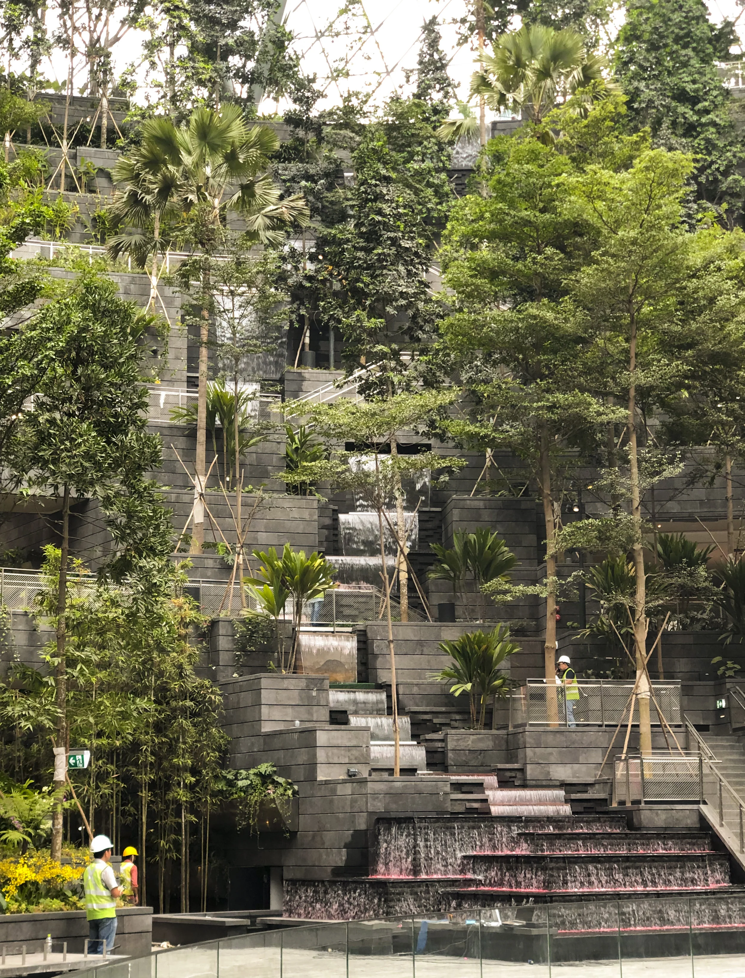 Cascading waterfall and over 200 species of plants create an indoor rainforest for visitors.
