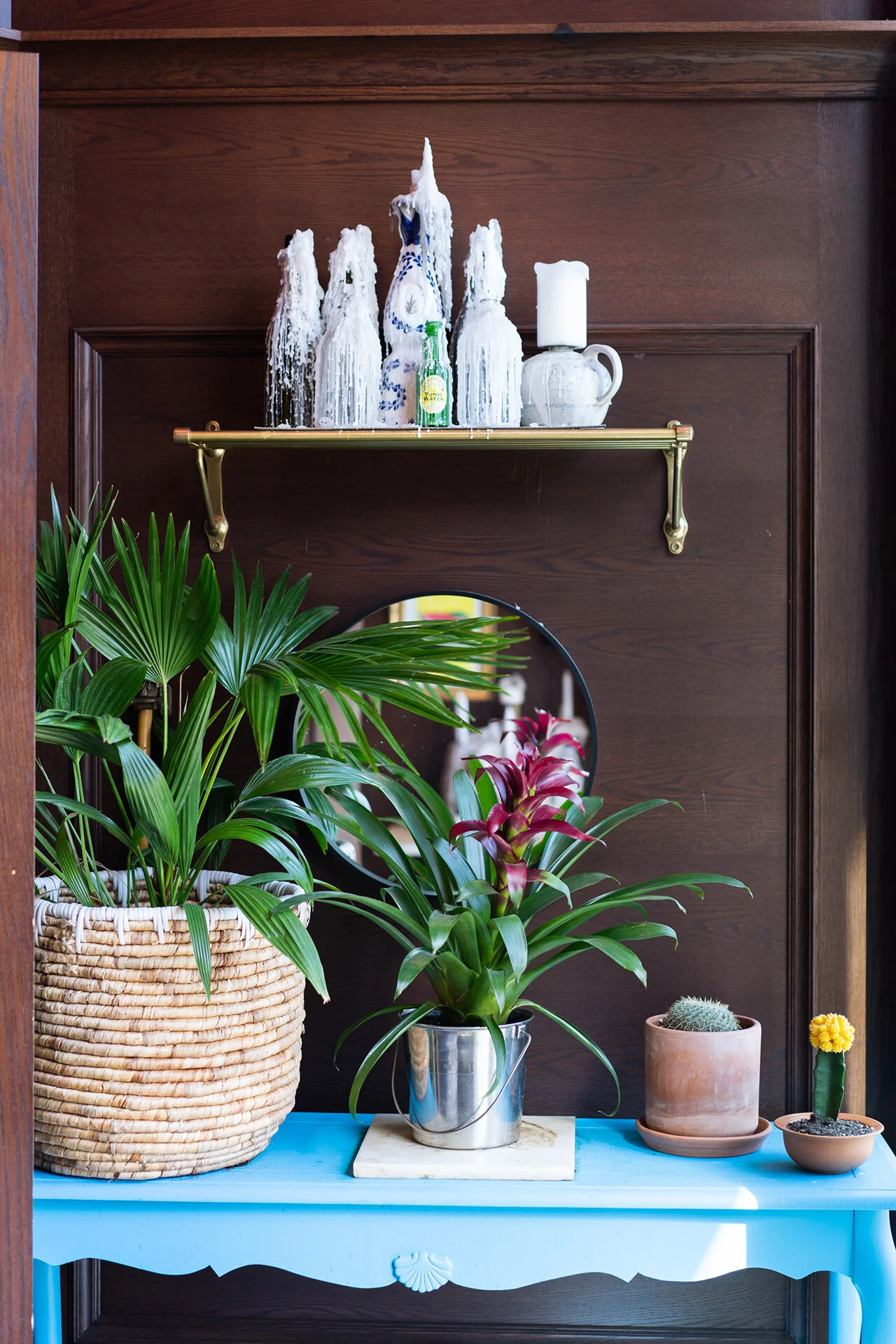 Vibrant potted plants and melted candles at the entrance nook