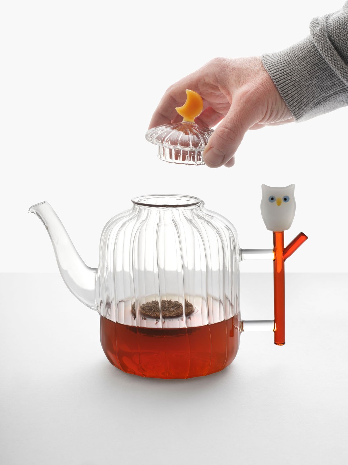 Ichendorf Milano Animal Farm Teapot with Owl, Borosilicate Glass on Food52