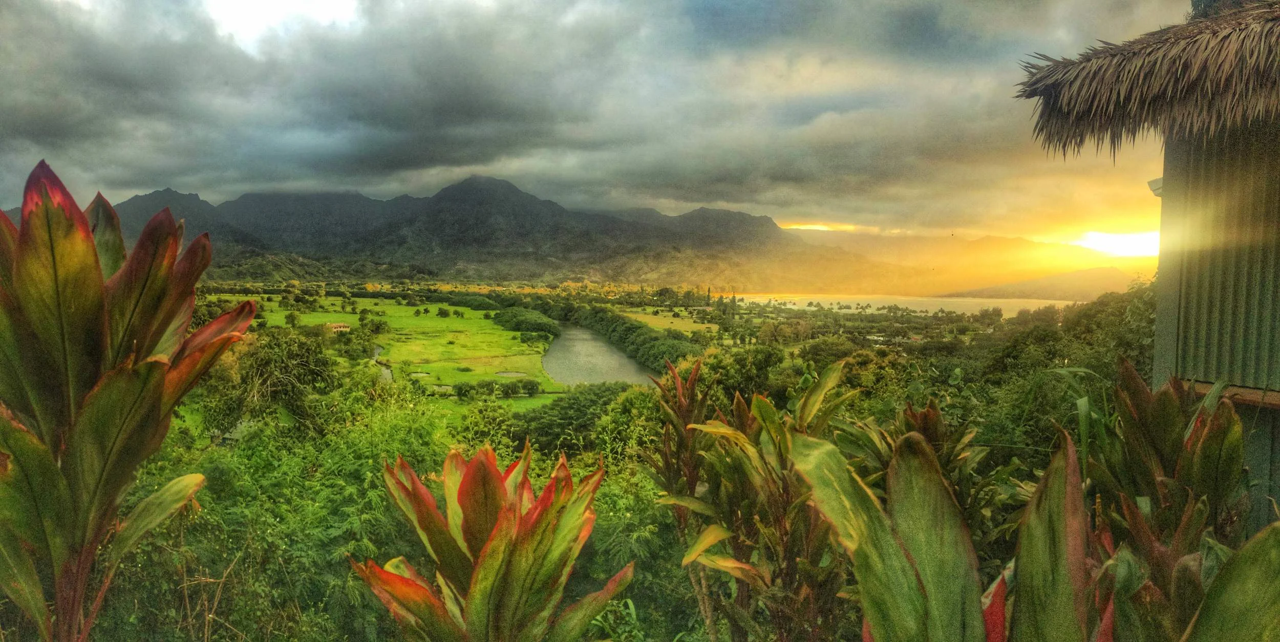 Hanalei River.jpg