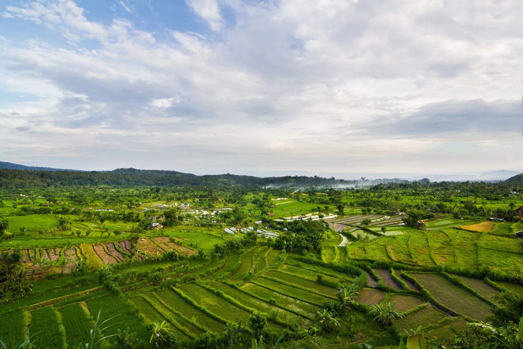 20150208_029-2-Edit.jpg