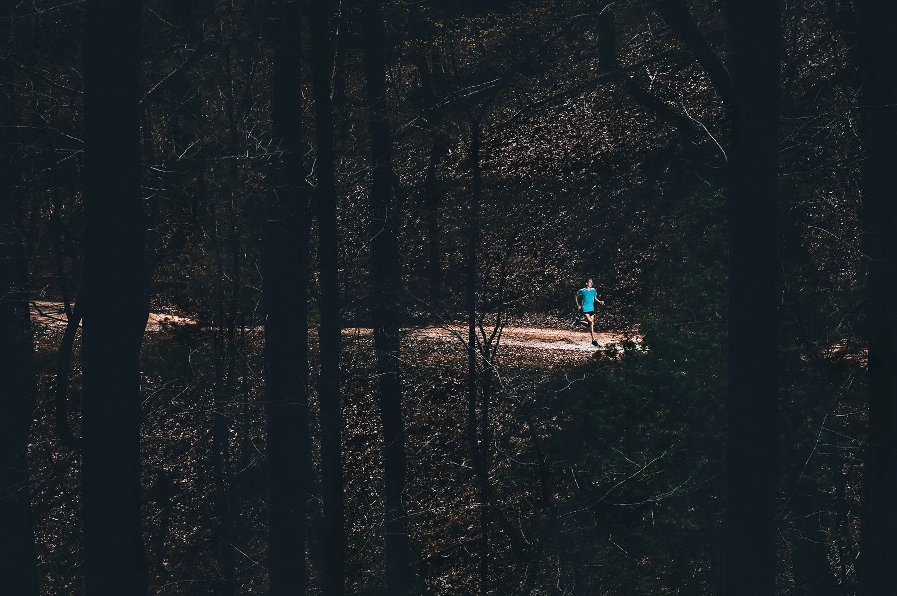 20170402_122-Edit.jpg