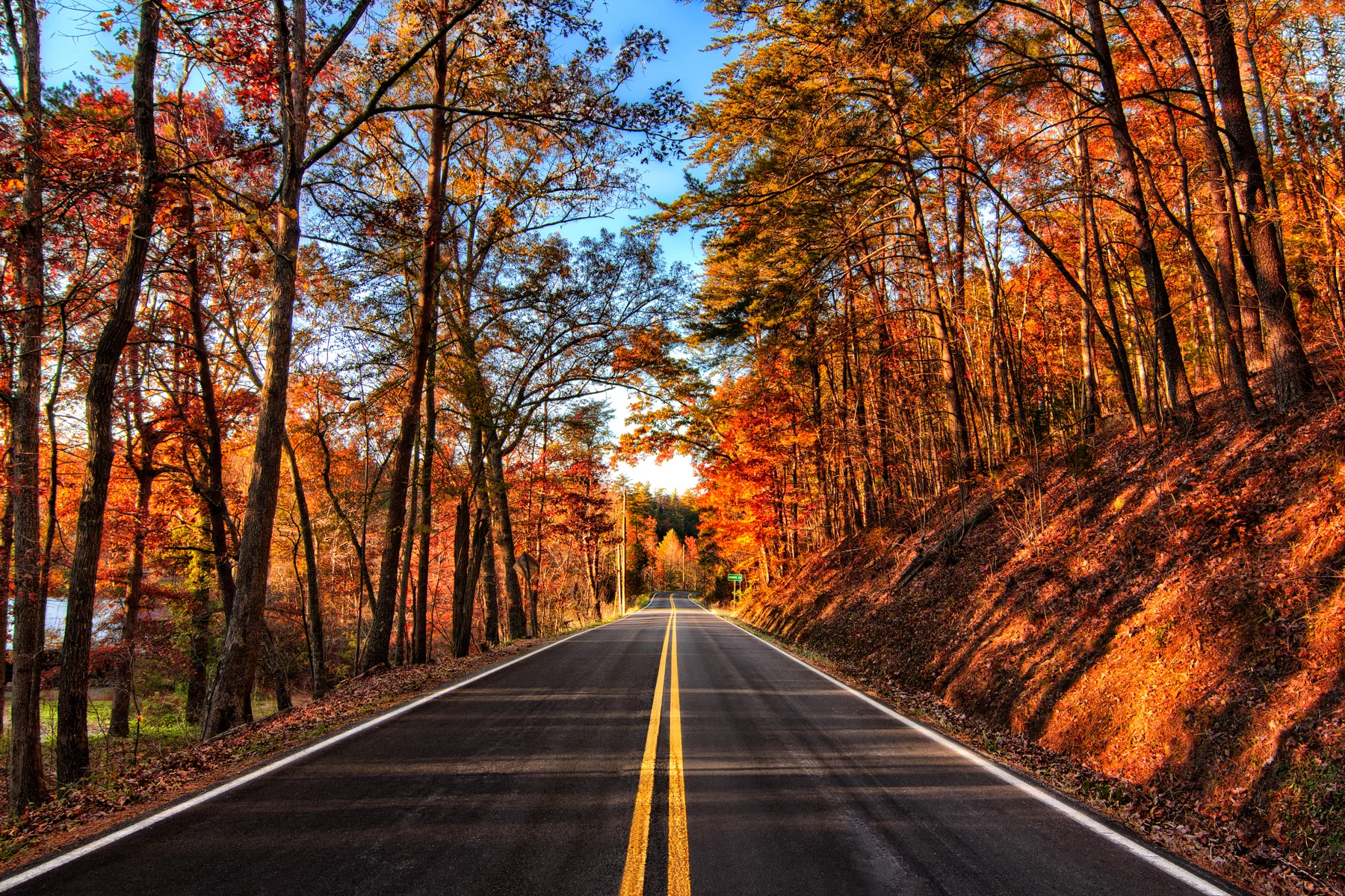 AutumnFoliage.jpg