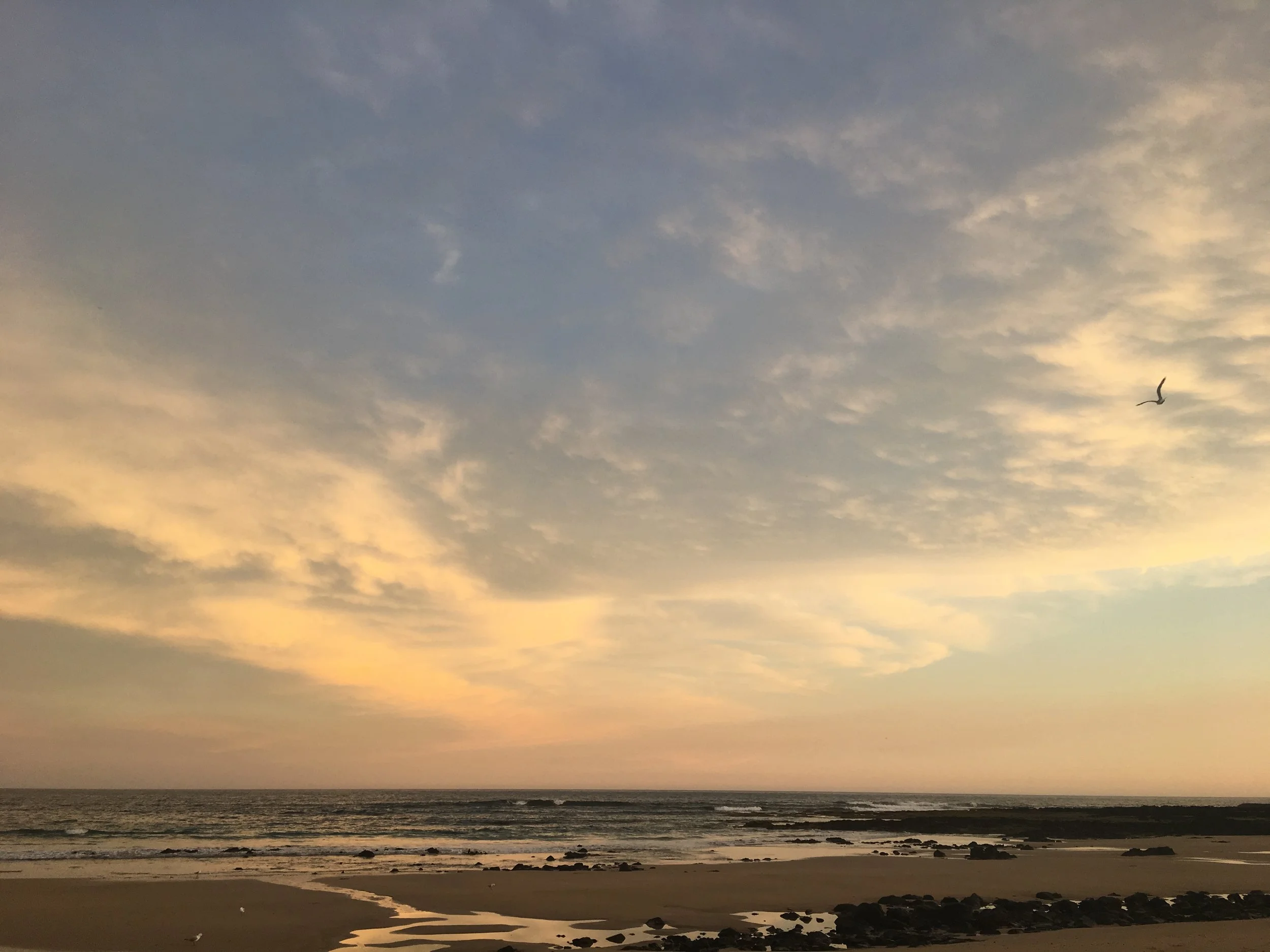 Rebalance & Recharge