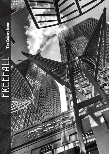 FF25No3FrontCover.jpg