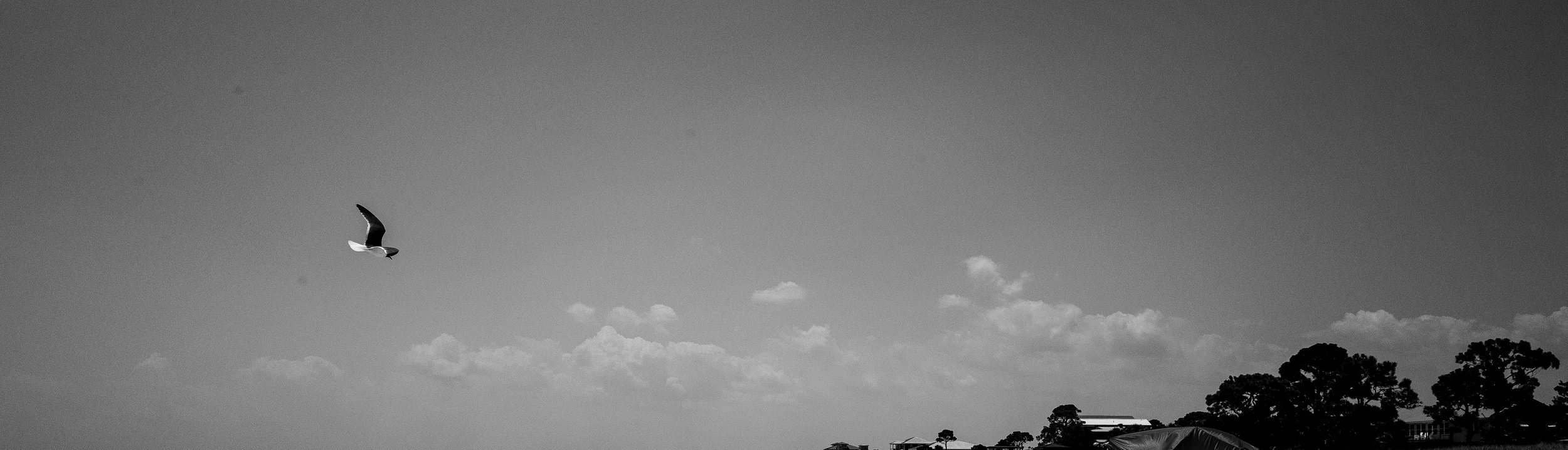 R0000511.jpg