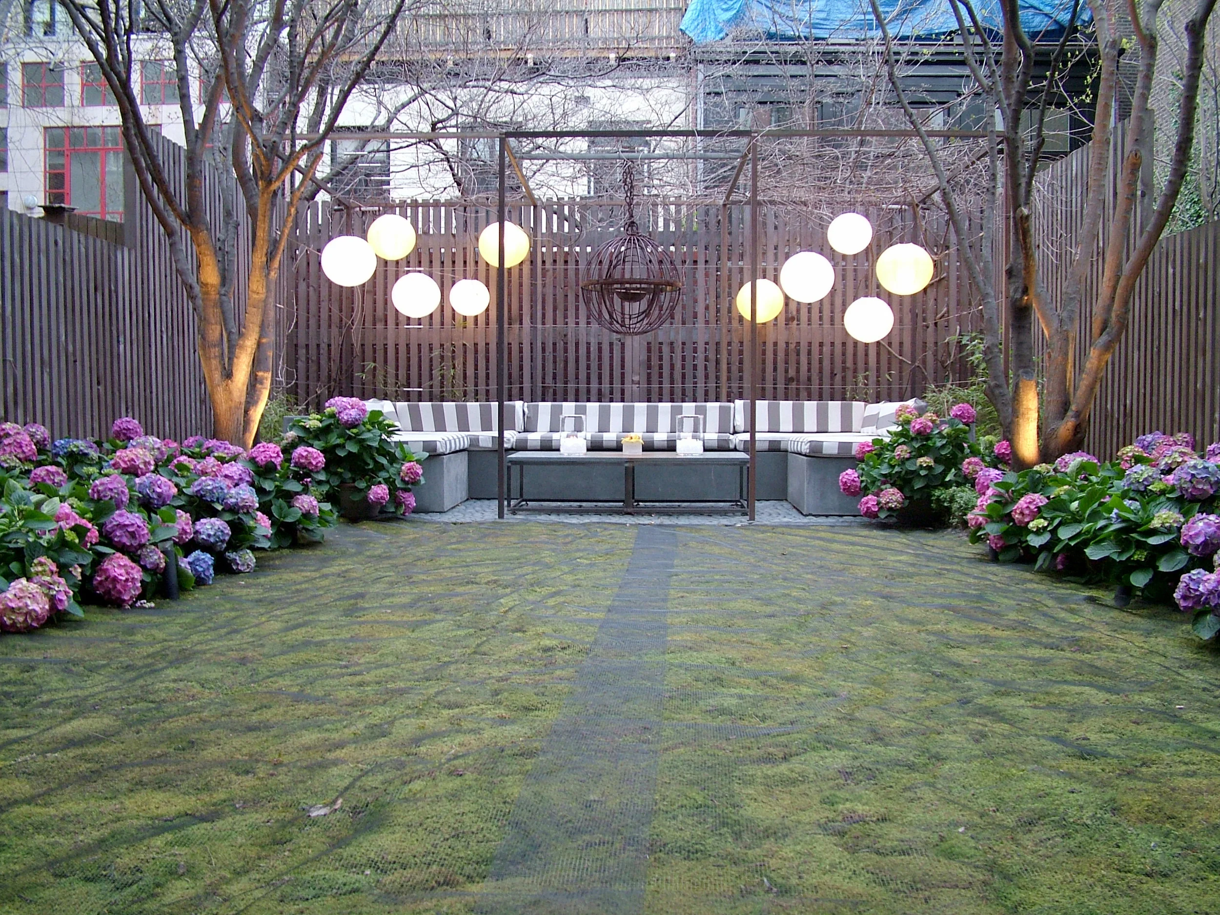 DSCF6503.JPG