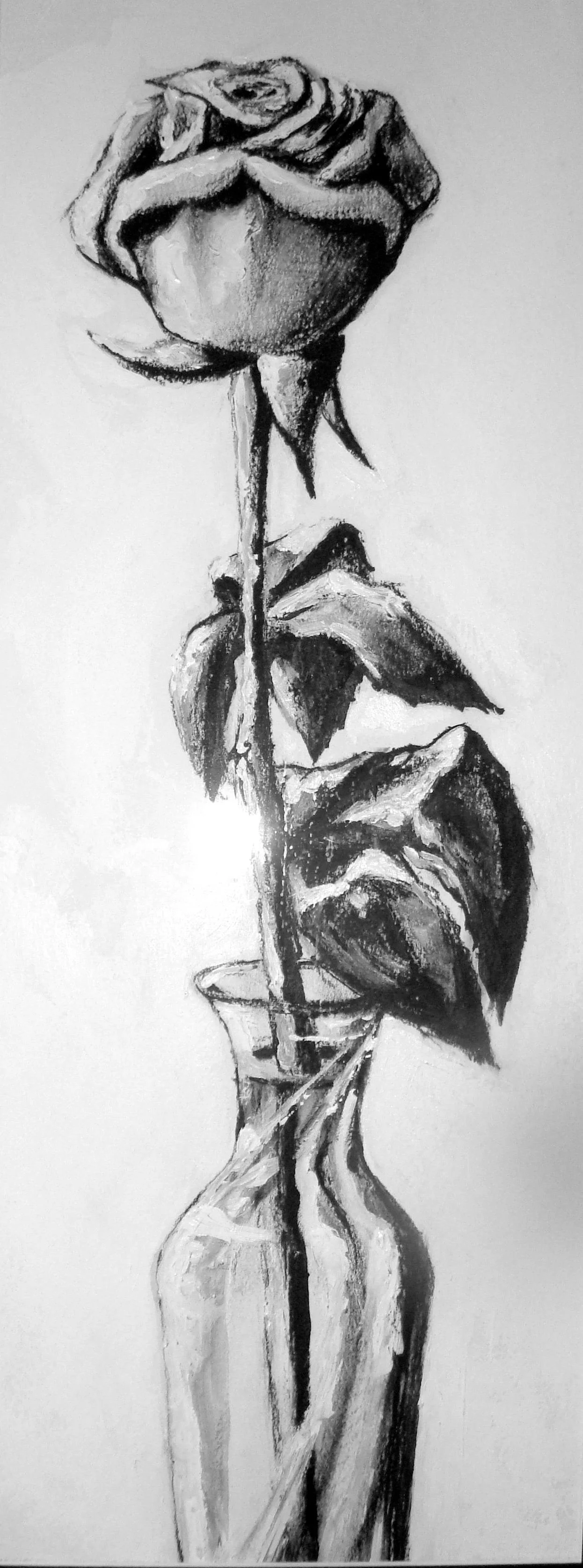 Rose that Never Wilts