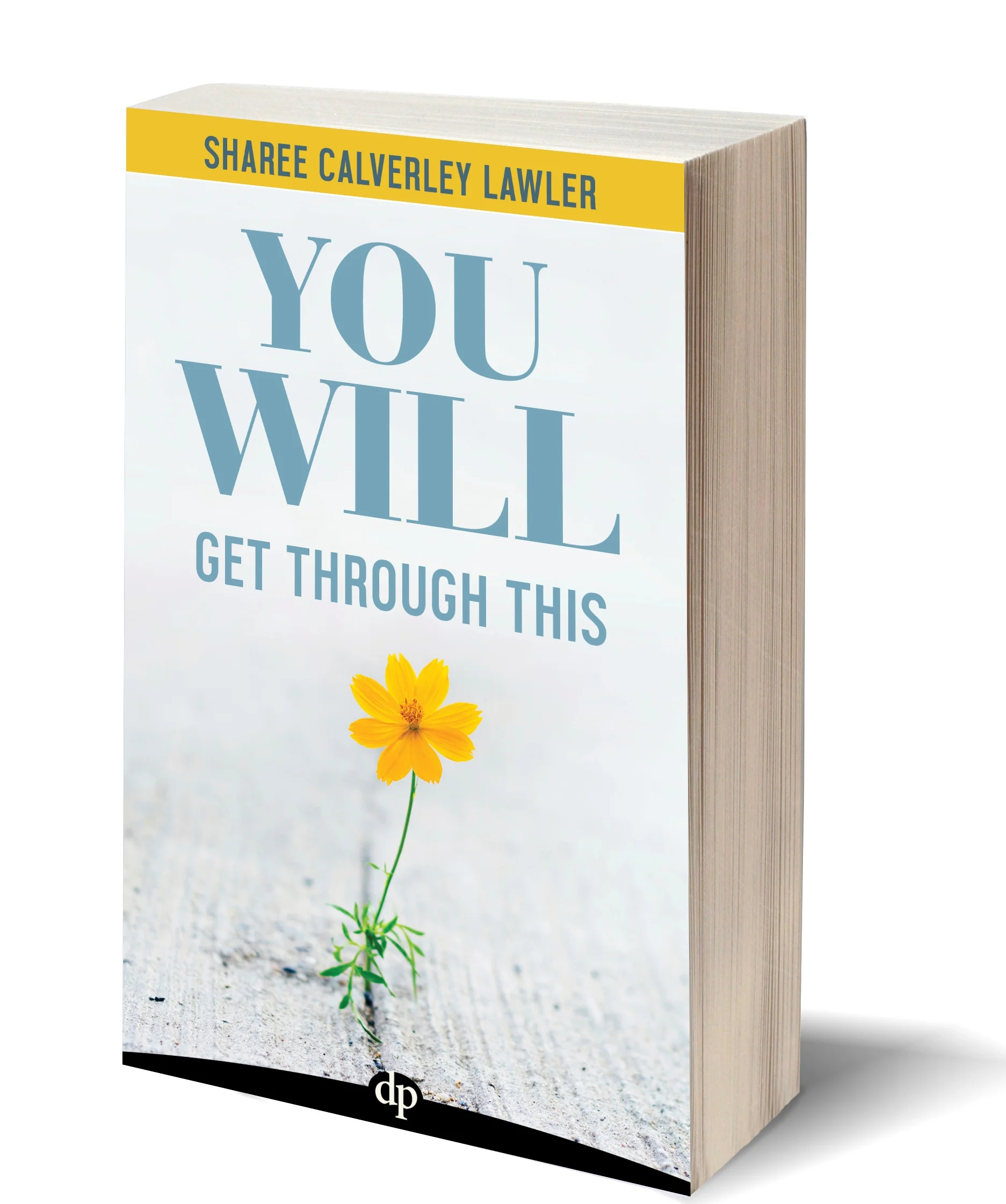 LAWLER-1-HandbookLifesBiggestChallenge-eBook-Cover_FINAL_3D (1).jpg