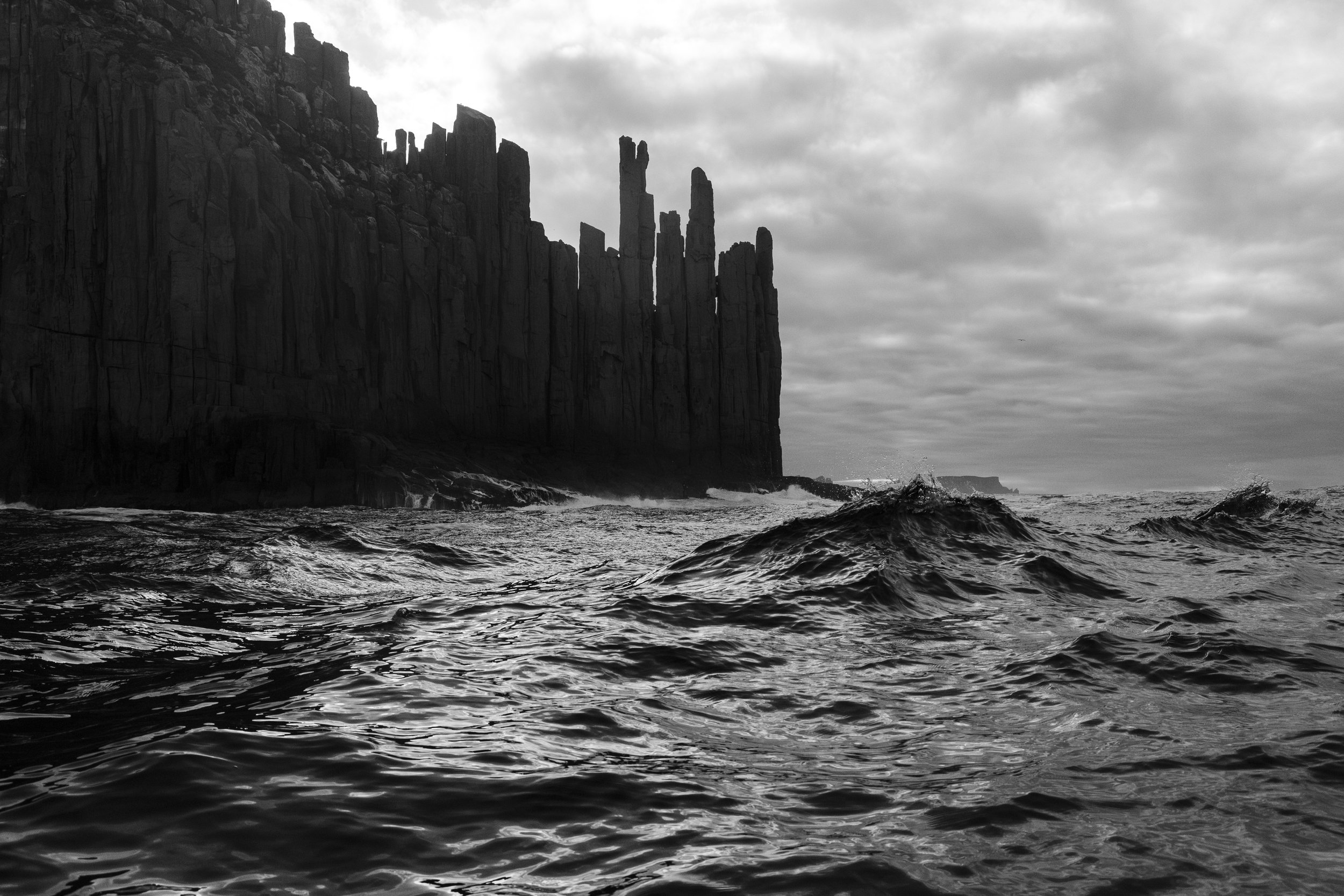--013A9067-Enhanced-NR.jpg