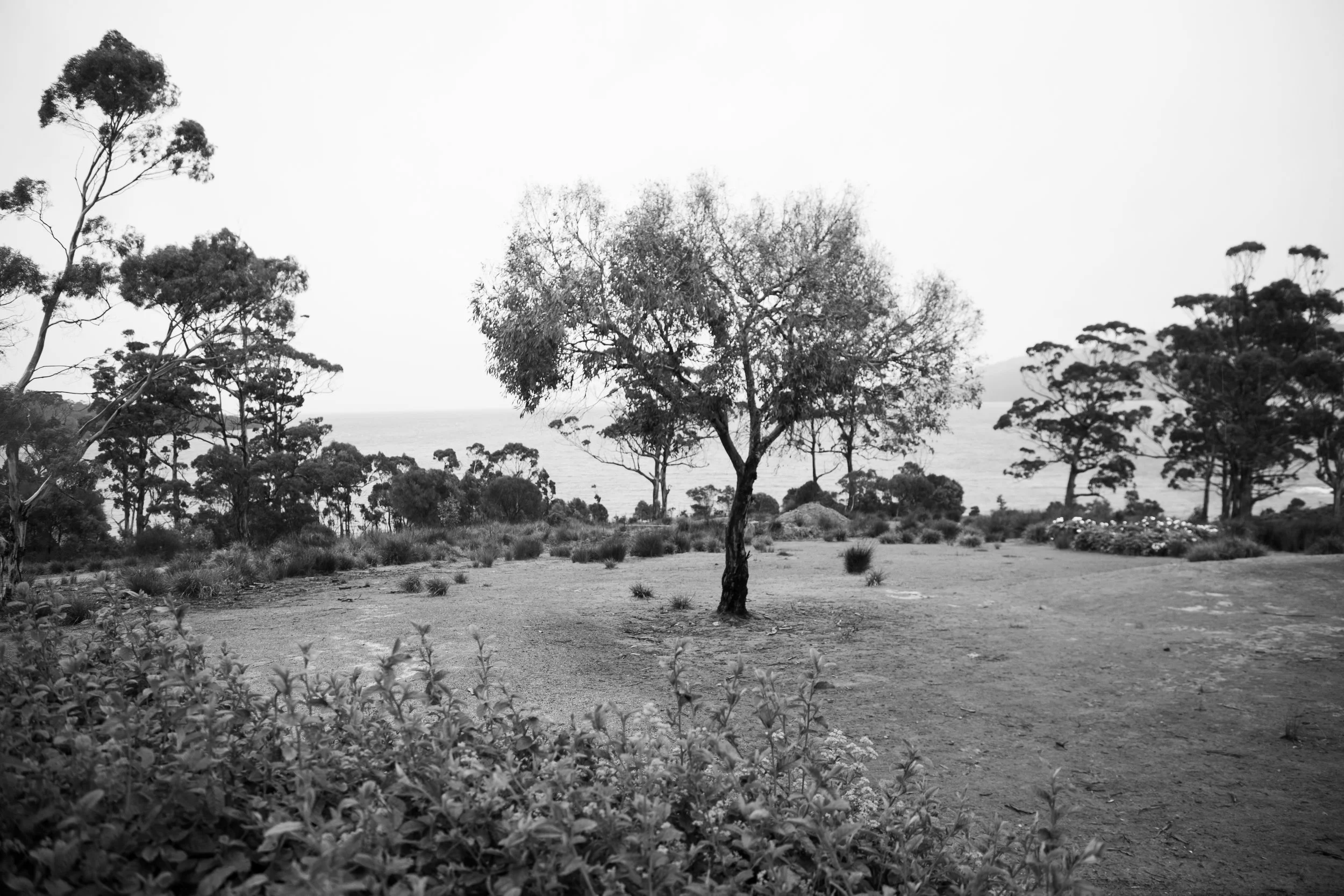 AX0I3650.jpg