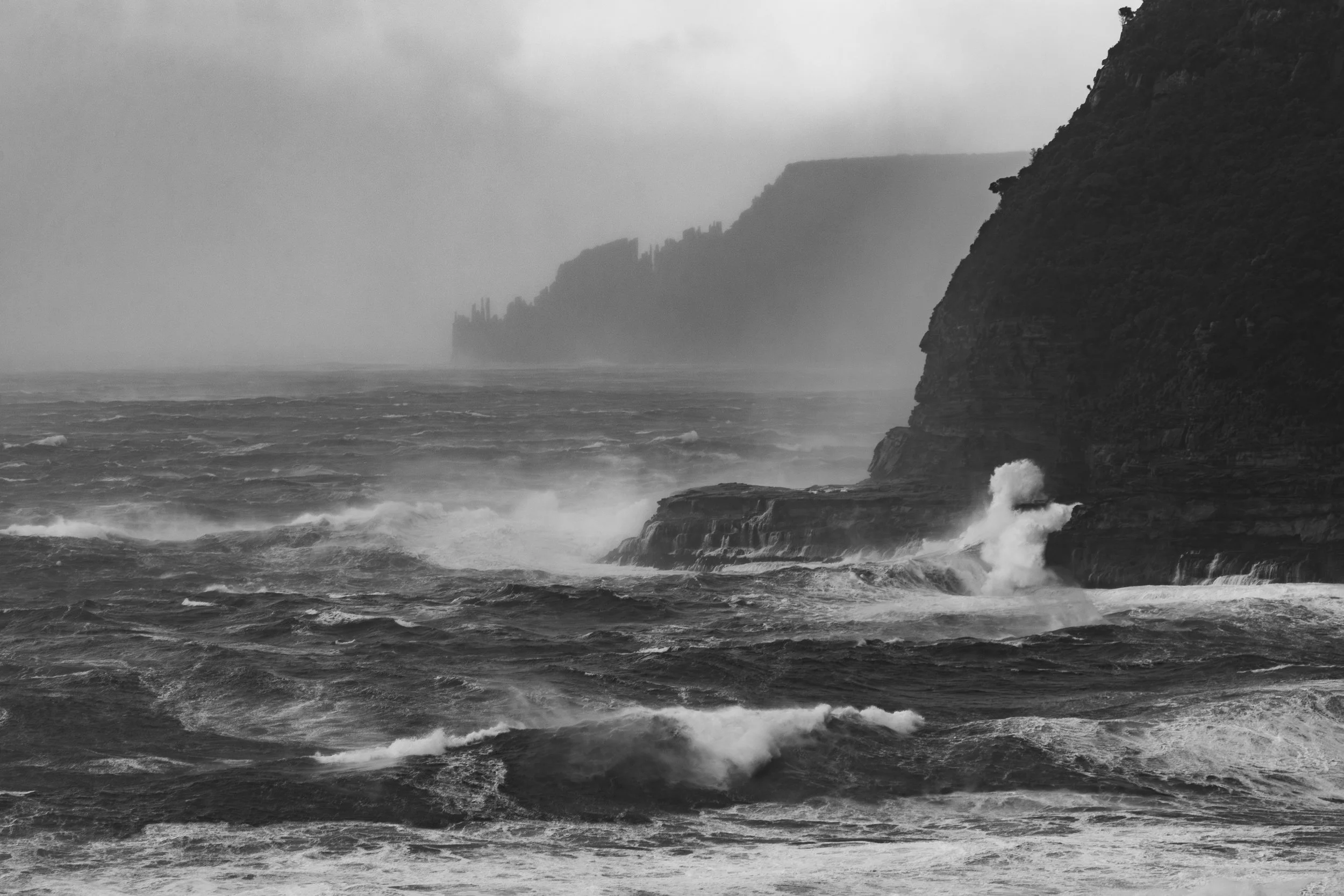 --AX0I2852-Enhanced-NR.jpg