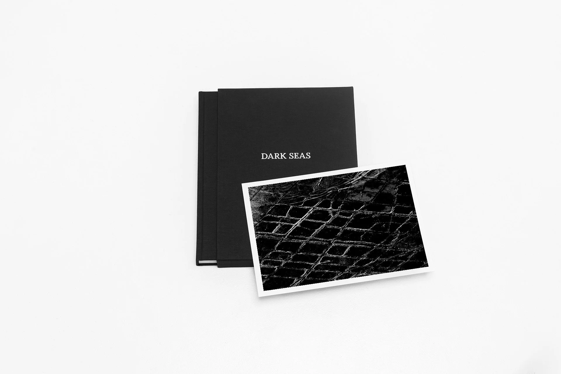 DARKSEAS_CollectorsEdition(TessellatedPavement).jpg