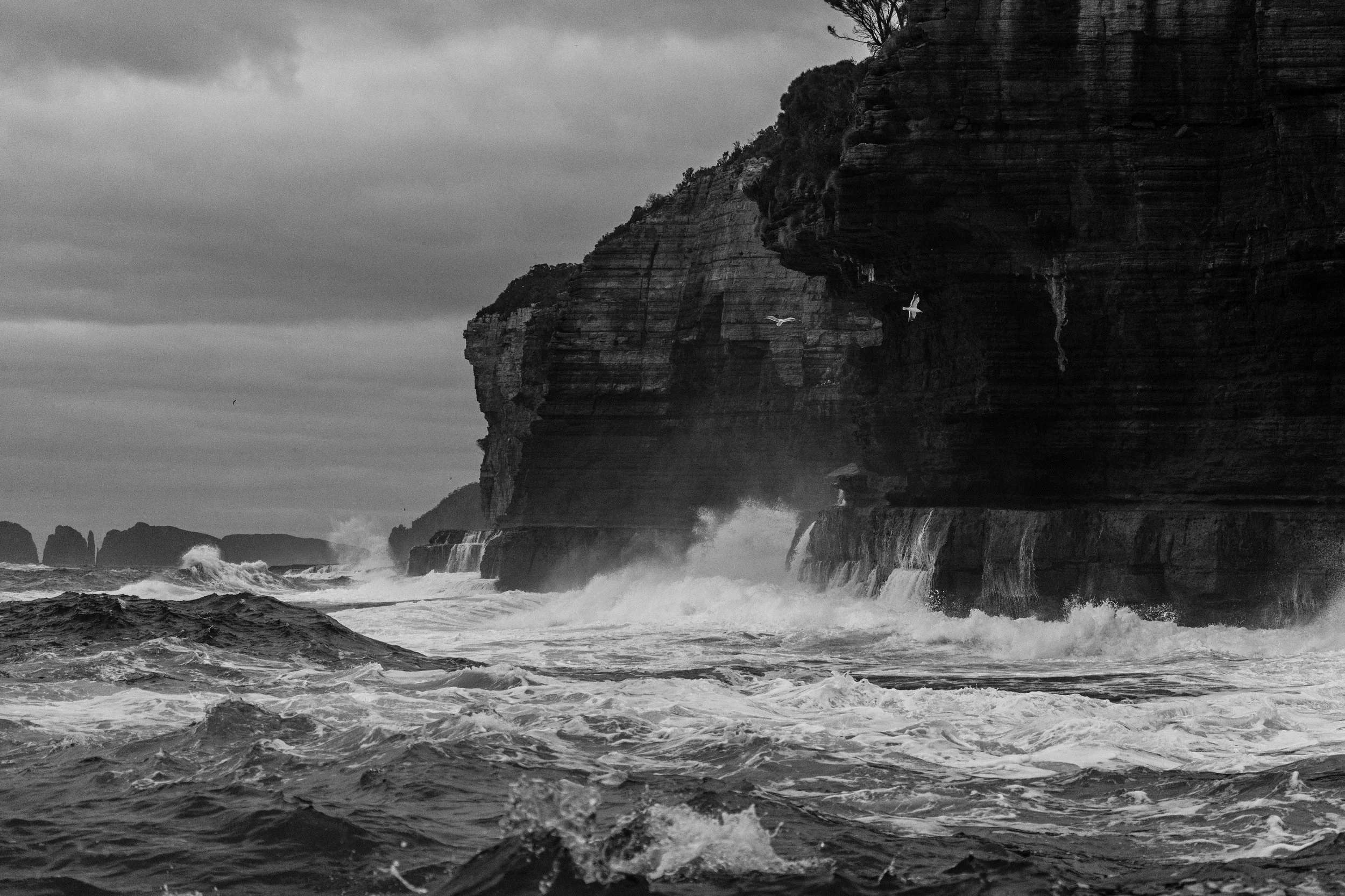 PR_WILDSEAS_NickGreenPhoto.jpg