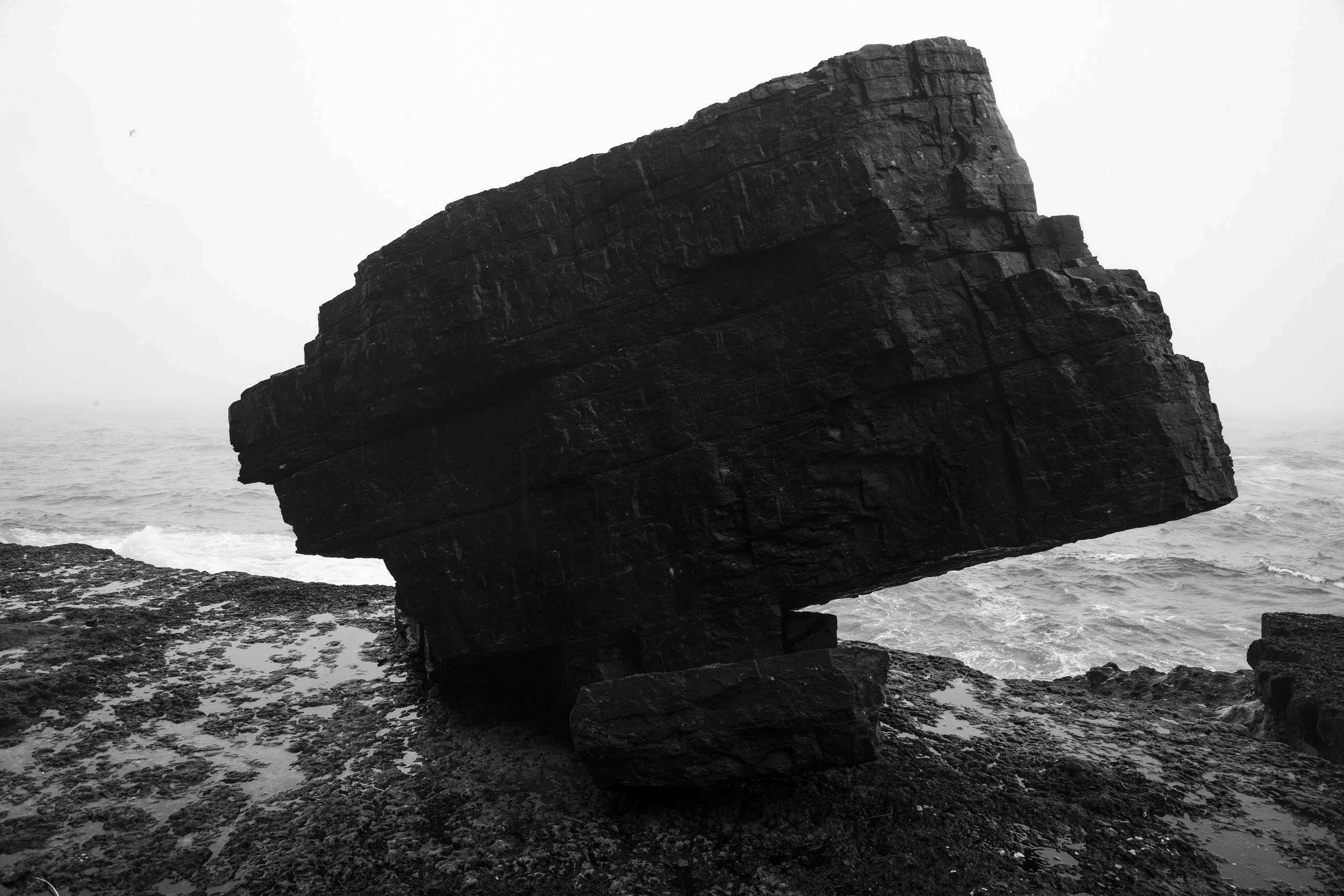 AX0I1421.jpg