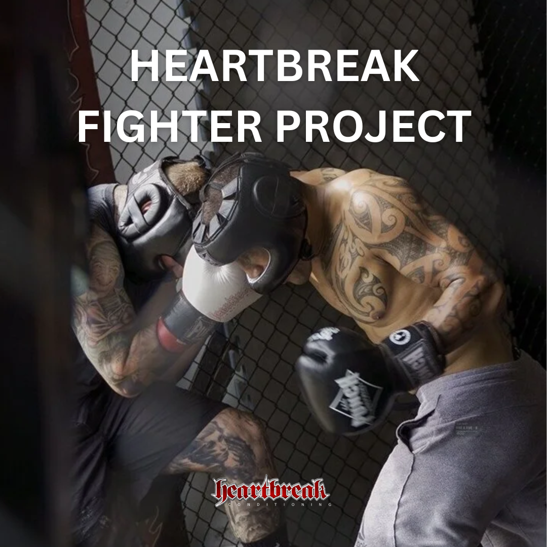 HBC FIGHTER PROJECT.png