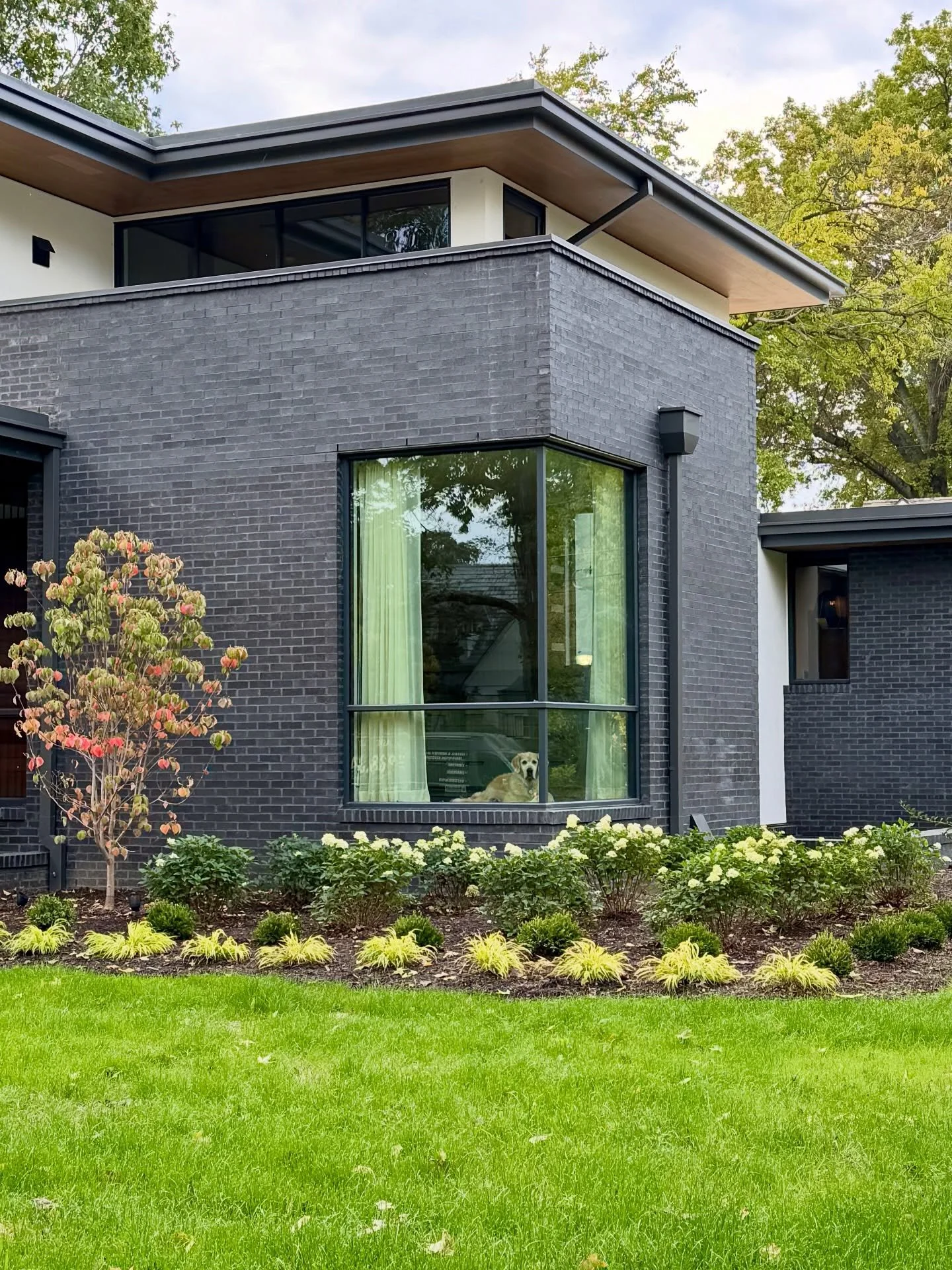 .
Clients evaluating the new house… so far reviews are favorable. 
#gooddogsaregoodbusiness