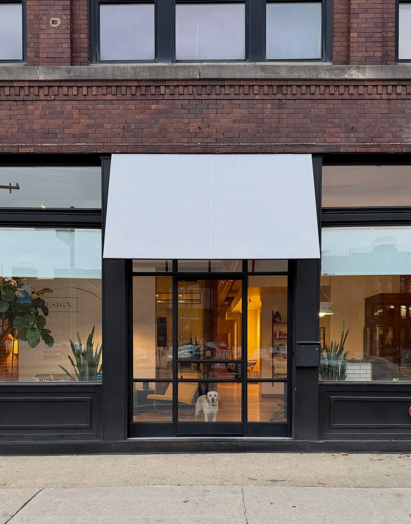 .
Good dogs are good business.