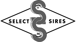 SSI logo.png