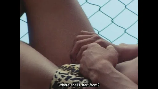 screenshoot02.jpg