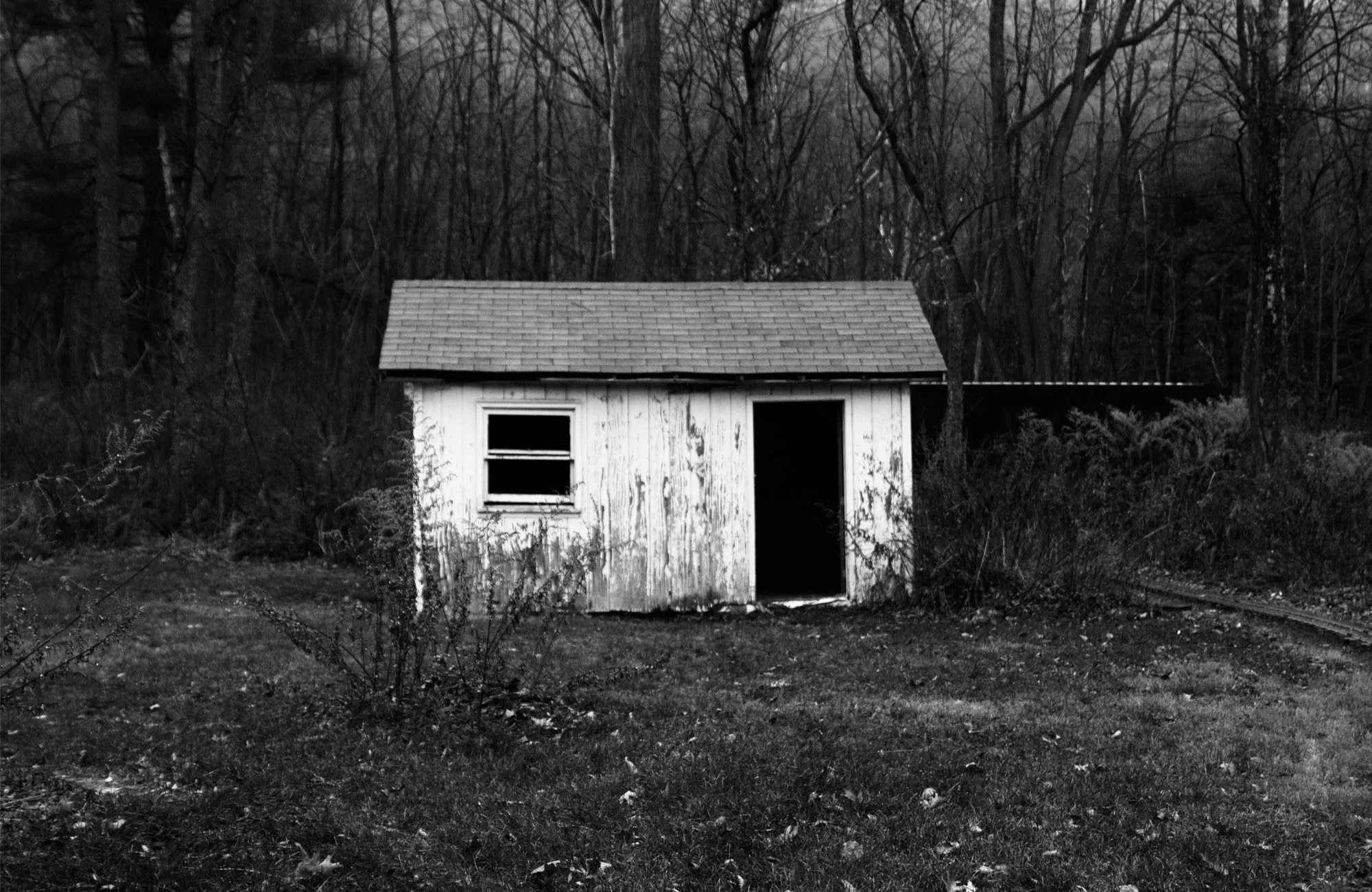 Untitled