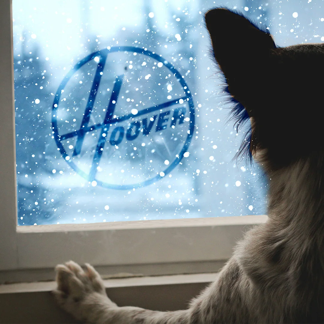 HooverLogoAdventures1.26.18.jpg