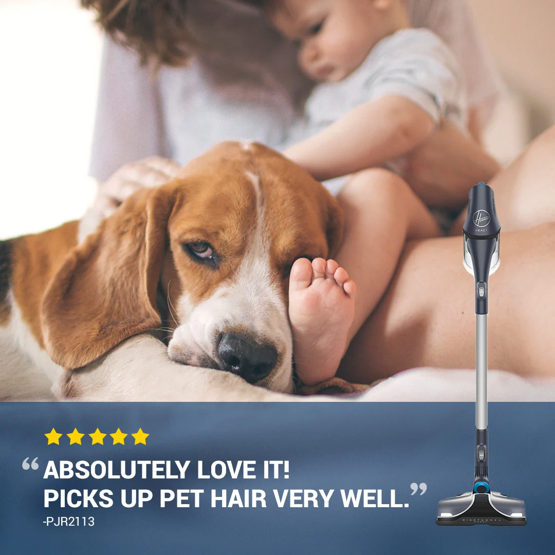 HooverSocialReview-Dog2.jpg