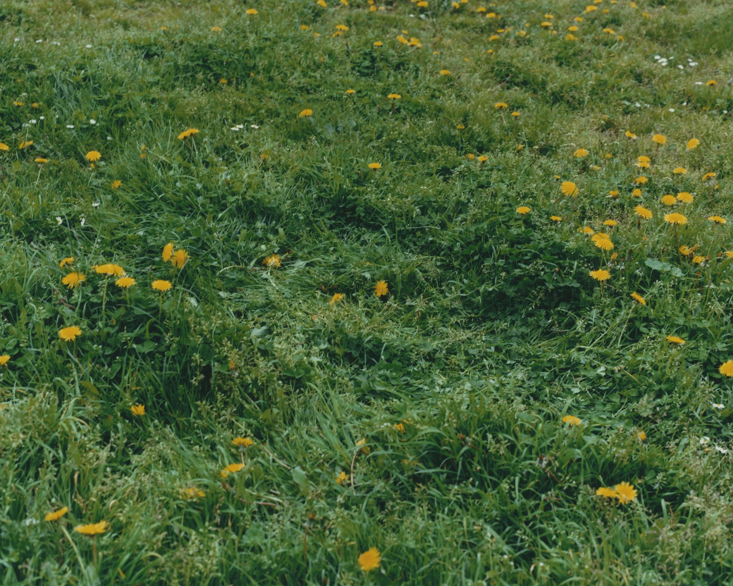 ltma (83)_V2_LR.jpg