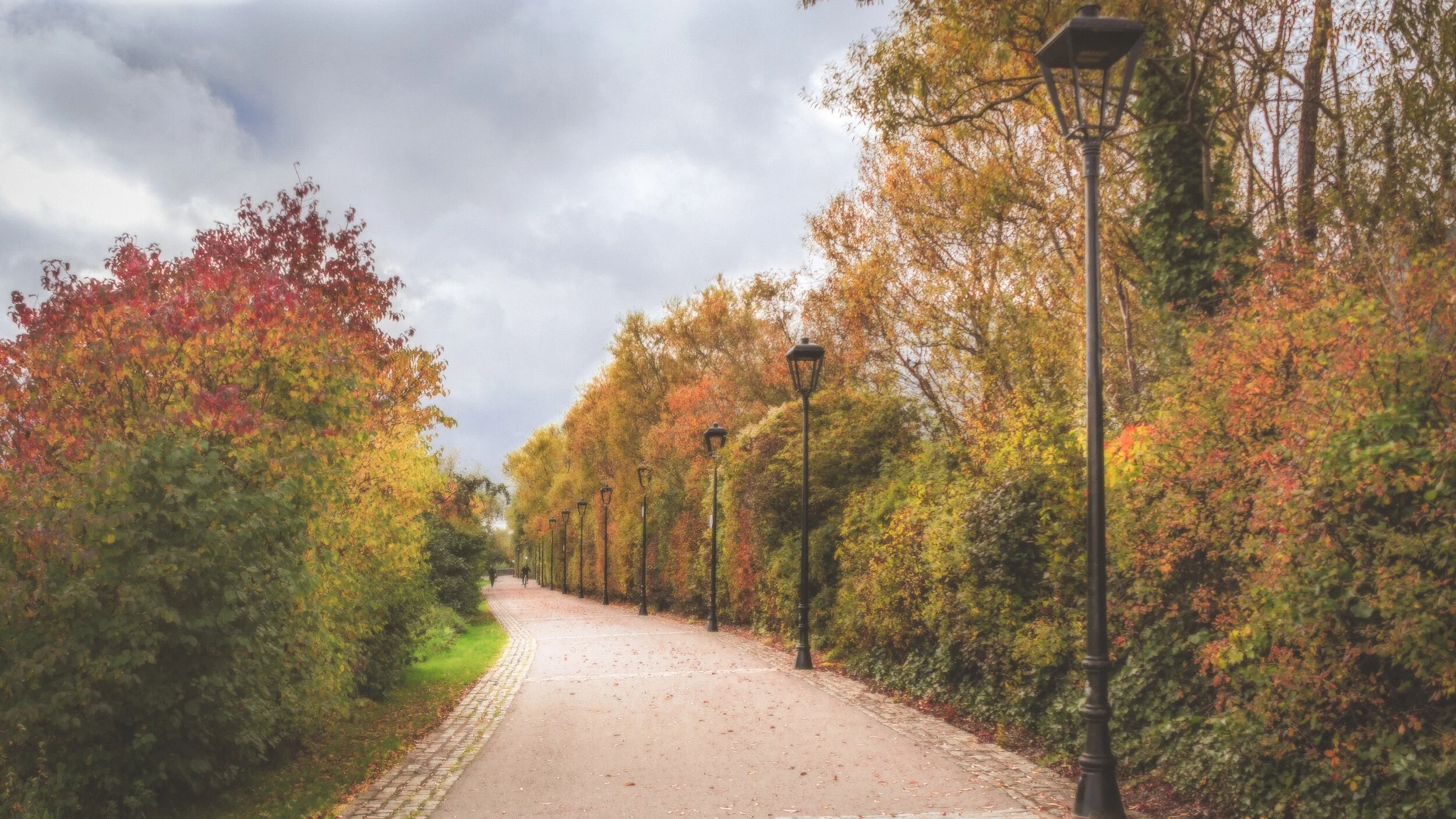 It's Not Just the Leaves That Are Changing