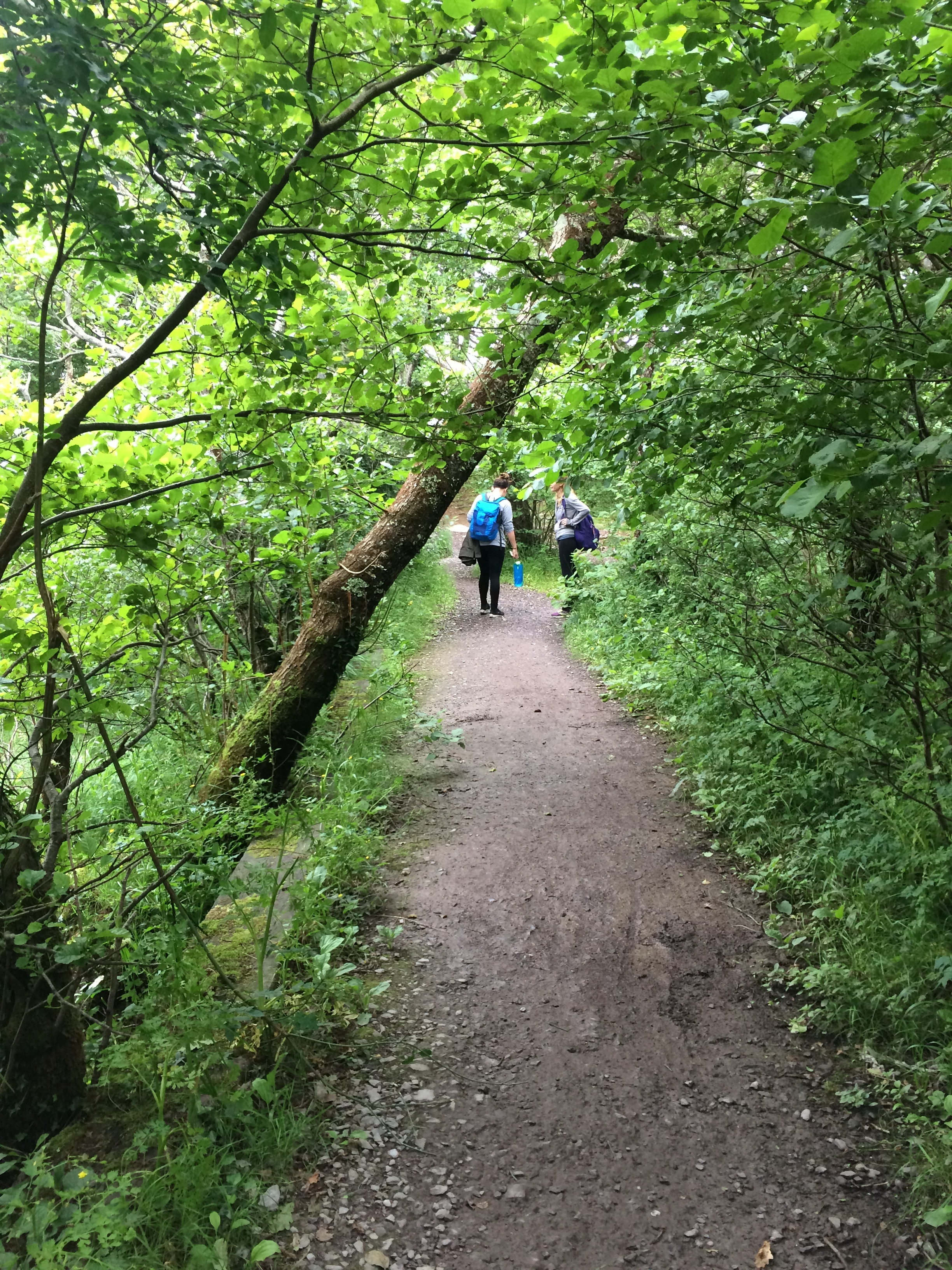 Killarney Trail