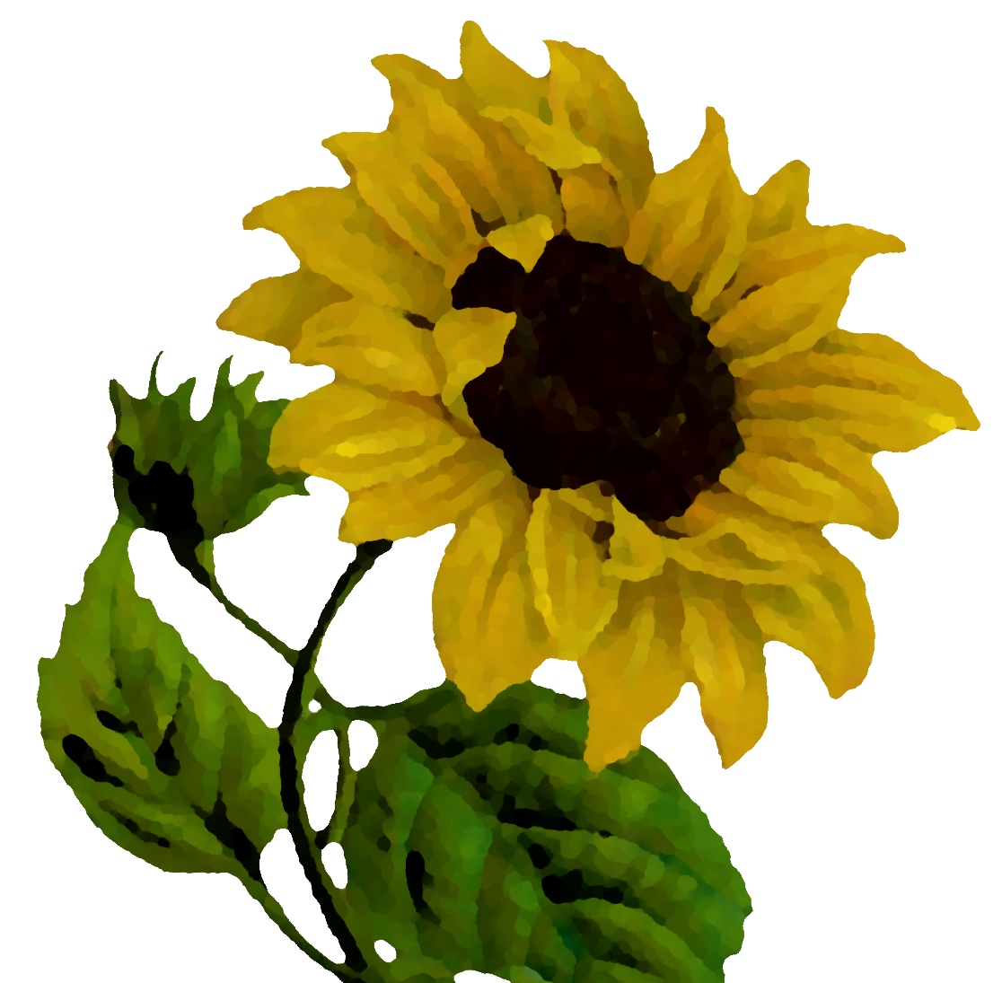 sunflower+thumbnail.jpg