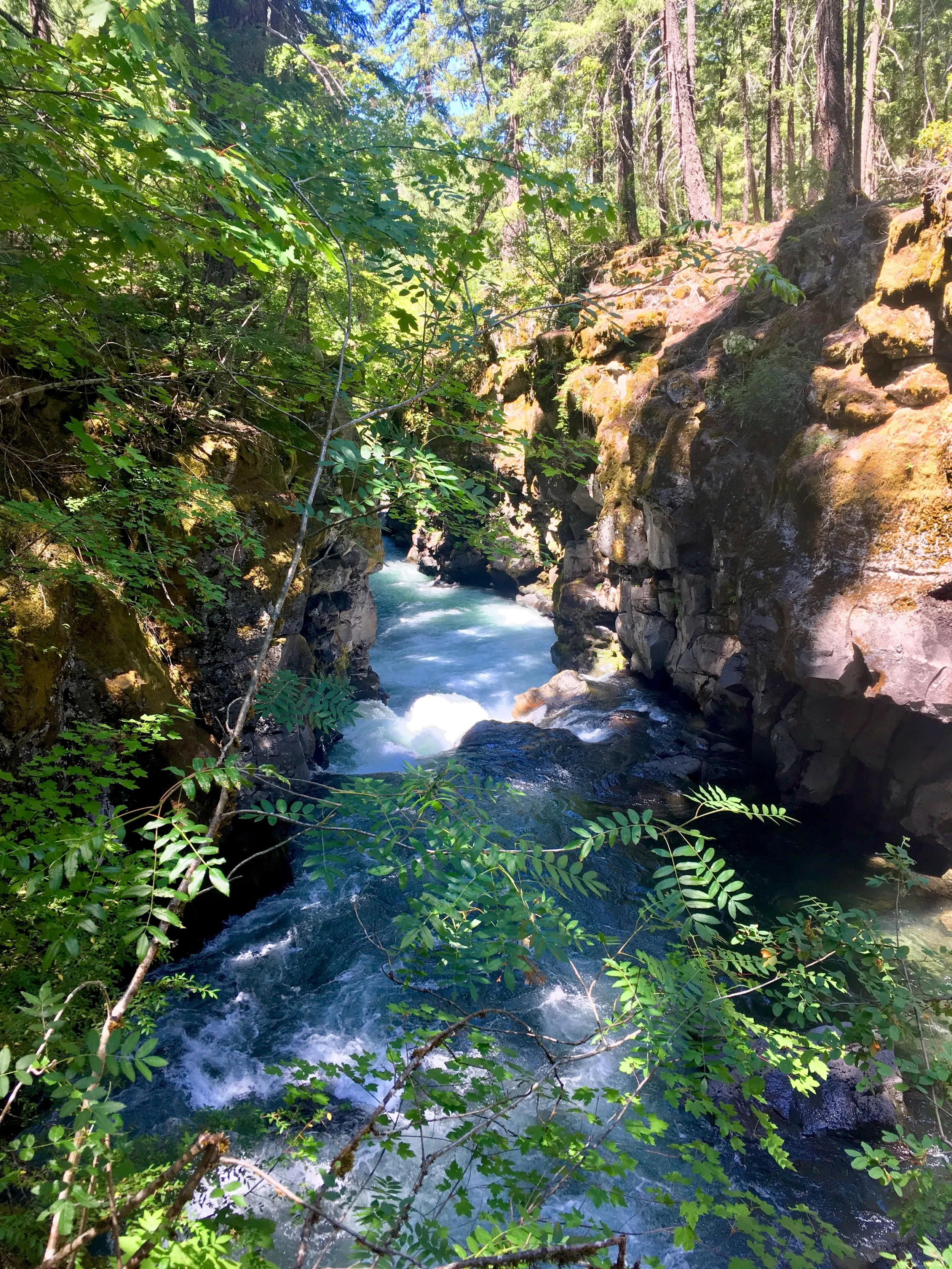 Rogue River Gorge