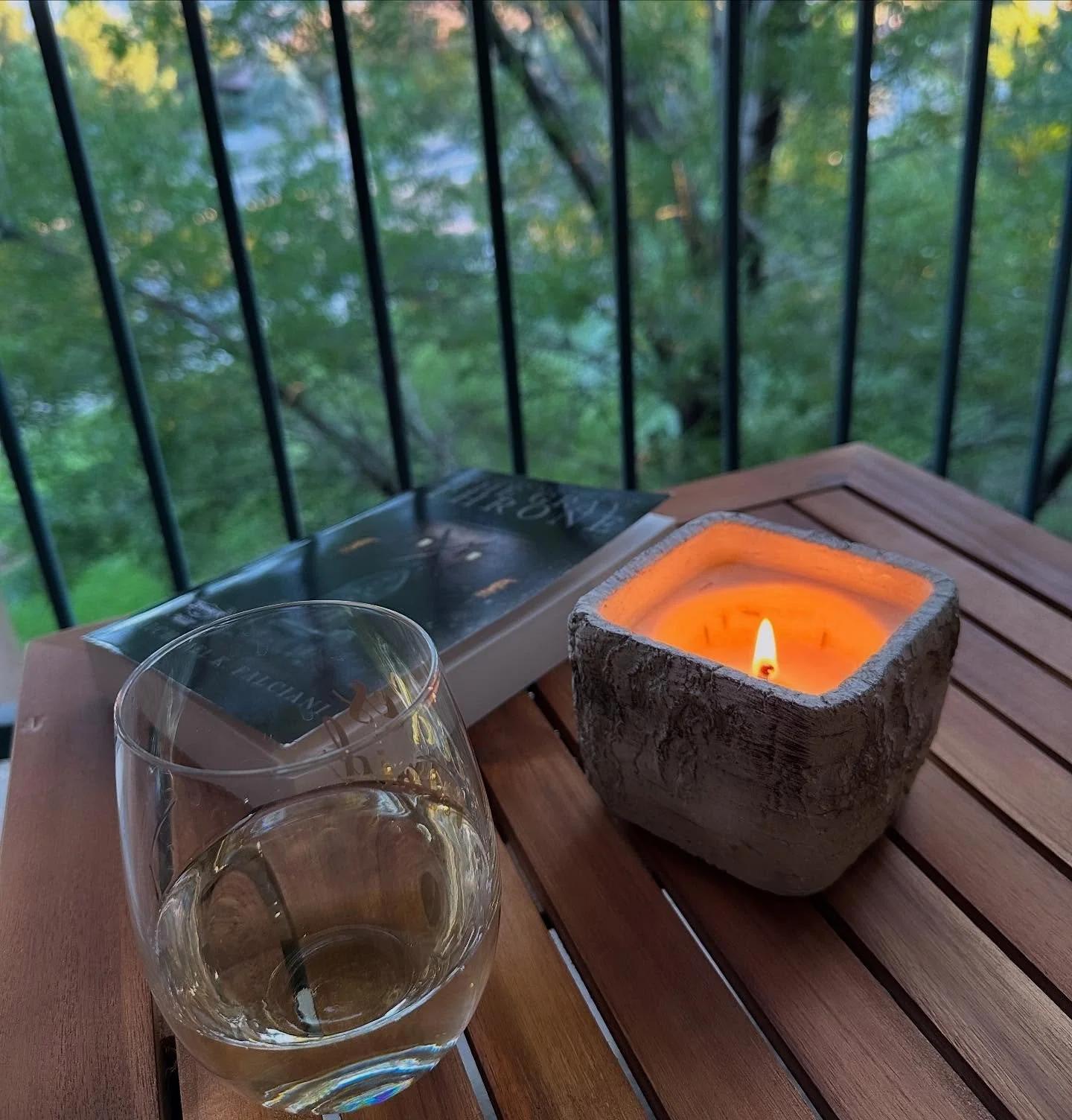 Now this is my idea of a great Saturday night 😌🕯️🍷📖🌳