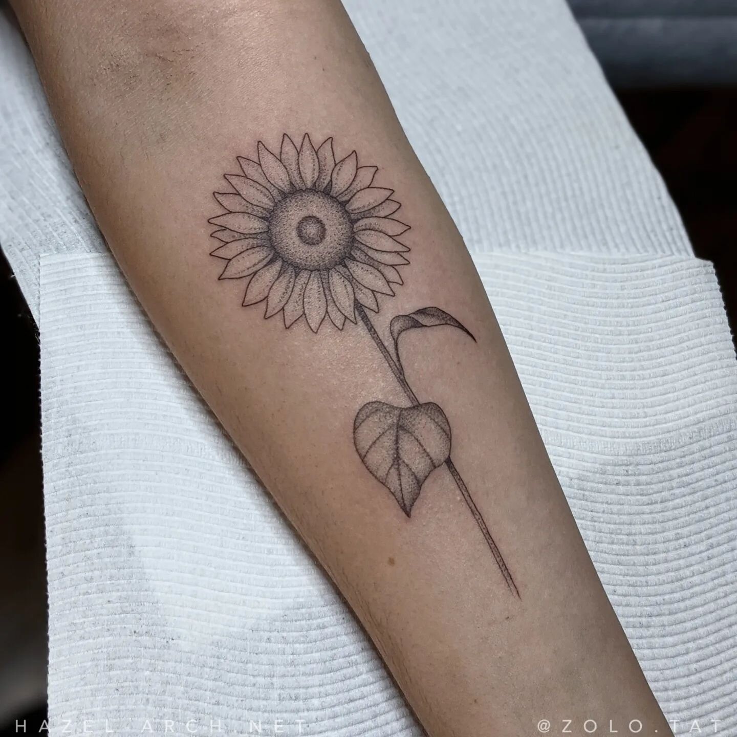 Sunflower 🧡🌻

#sunflowertattoo #dotworktattoo #finelinetattoo #brisbanetattoo #brisbanetattooartist #brisbanefinelinetattoo #botanicaltattoo #botanicalart #botanicalillustration #plantlover #plantloversofinstagram #youaremysunshine #gardeningaustra