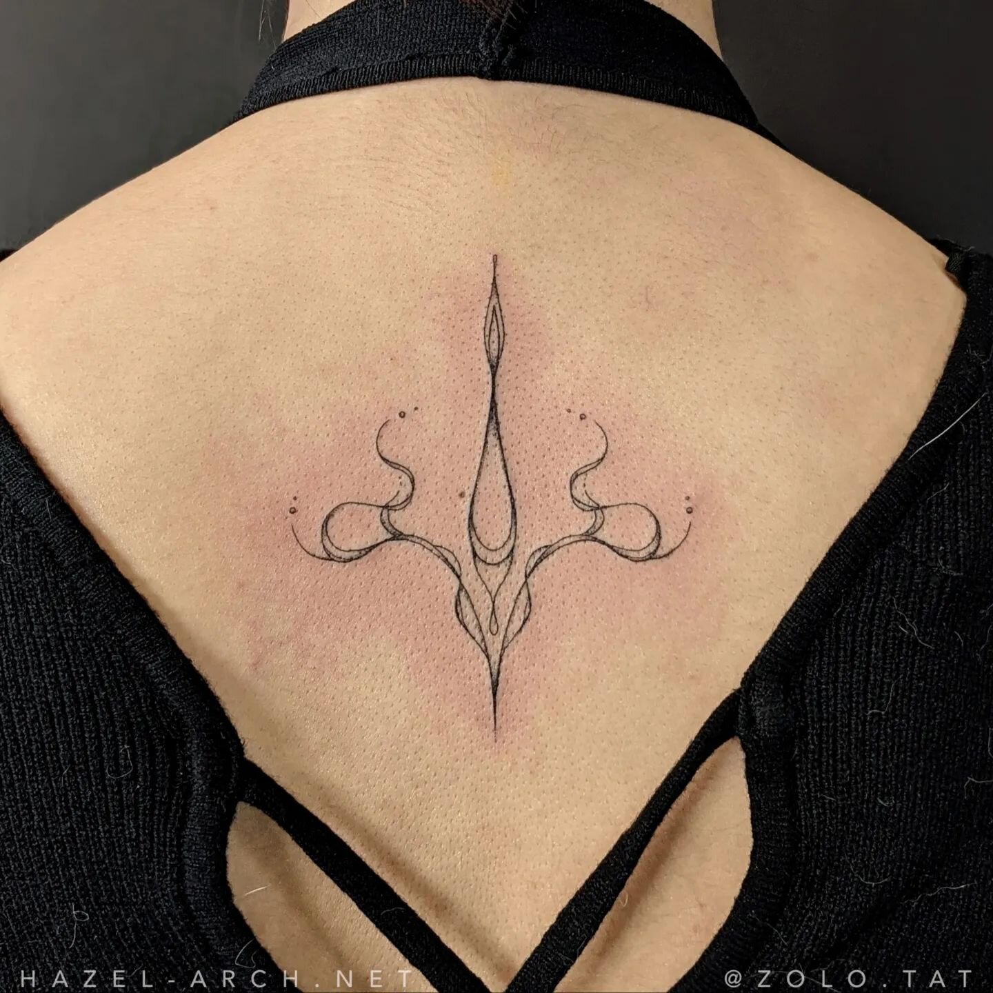 Abstract flash! :)
Still one of my favourite styles and placements to tattoo. 🧡

#abstracttattoo #backtattoo #spinetattoo #finelinetattoo #brisbanetattoo #brisbanetattooartist #hazelarch #hazelarchtattoo #hazelarchart #delicatetattoo