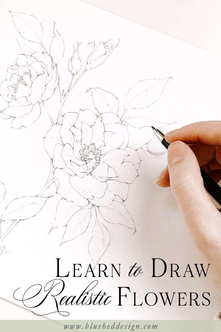 Improve Your Flower Drawing In Less Than 1 Week Blushed Design