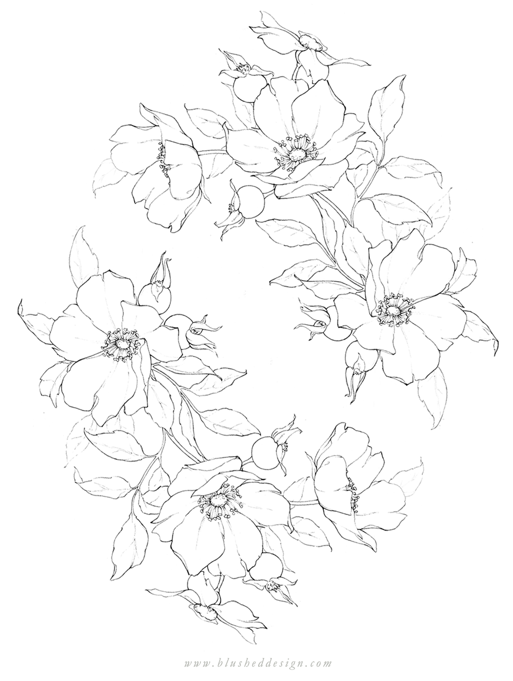 Flower Drawings Spring 2019 — Blushed Design