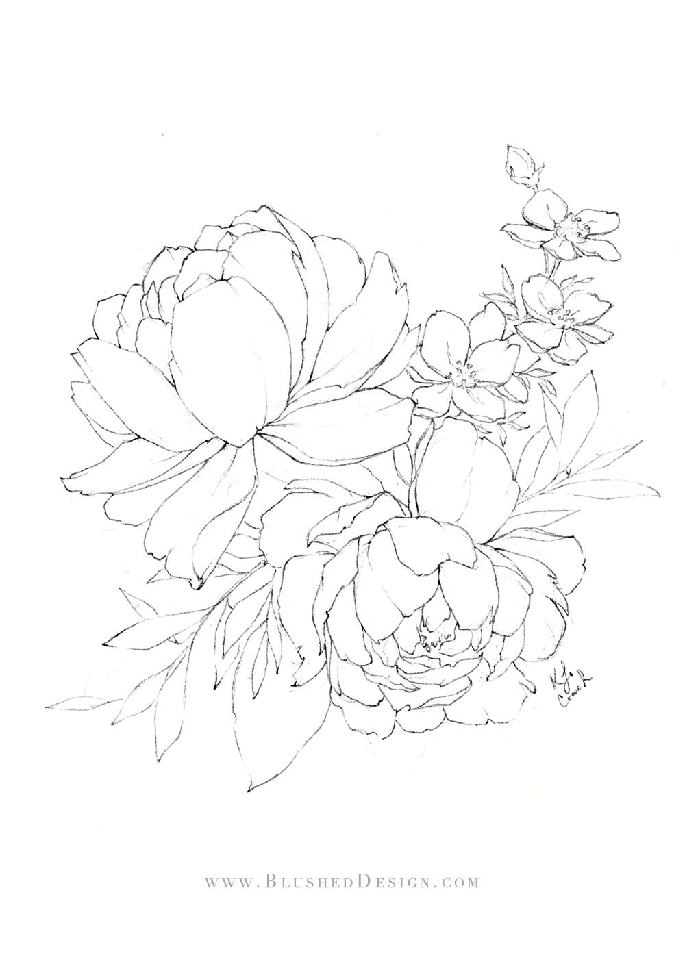 Flower Drawings Spring 2019 Blushed Design