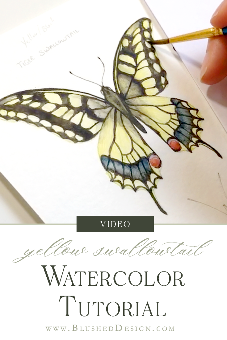 Yellow Swallowtail Butterfly Watercolor Tutorial