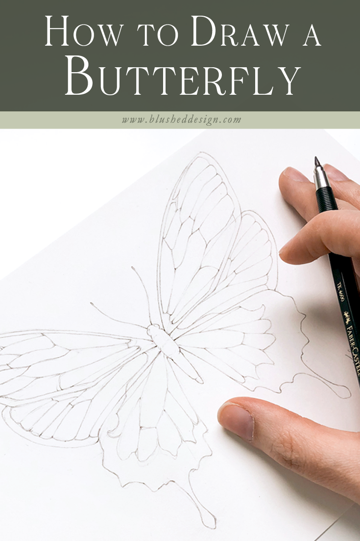 How To Draw a Butterfly Tutorial