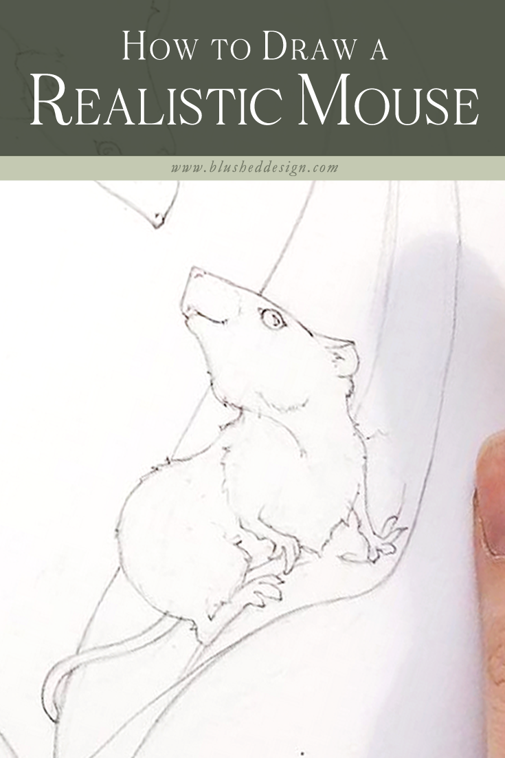 simple mouse drawing｜TikTok Search