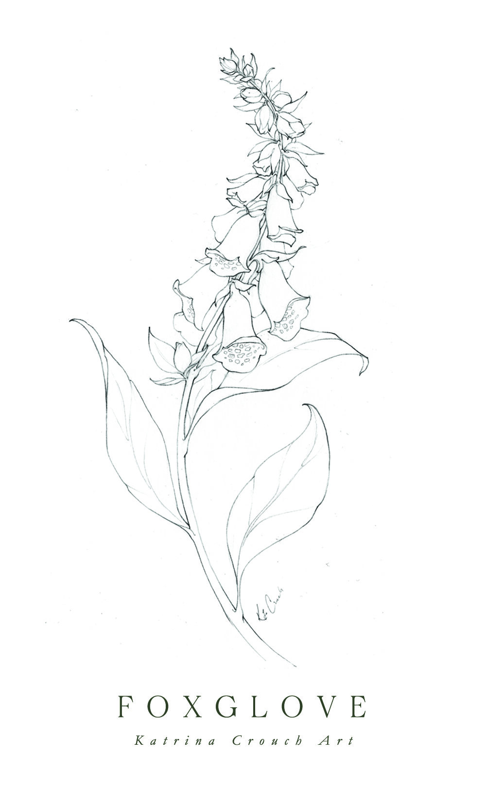 Flower Drawings, Inktober 2020 Roundup — Katrina Crouch
