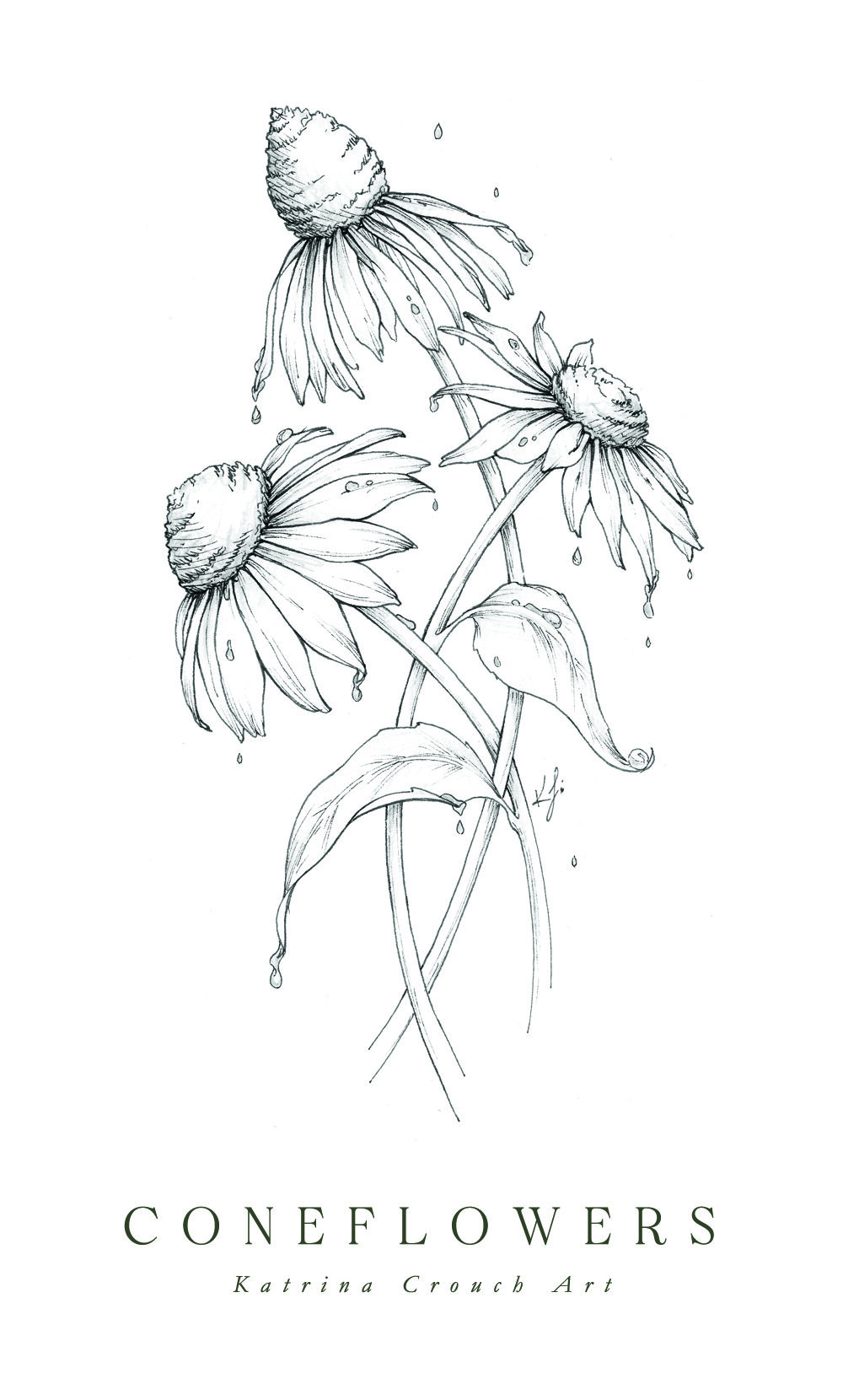 Flower Drawings, Inktober 2020 Roundup — Katrina Crouch