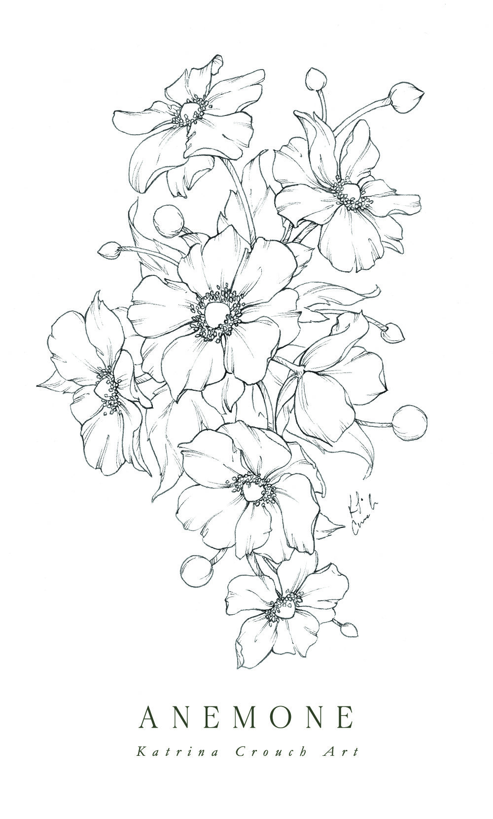 Flower Drawings | Inktober 2020 Roundup — Katrina Crouch | Blushed ...